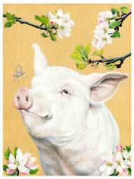 Amy Rose Moore Illustration